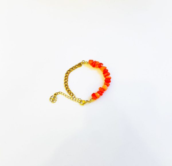 Curb Chain and Coral Beads Bracelet